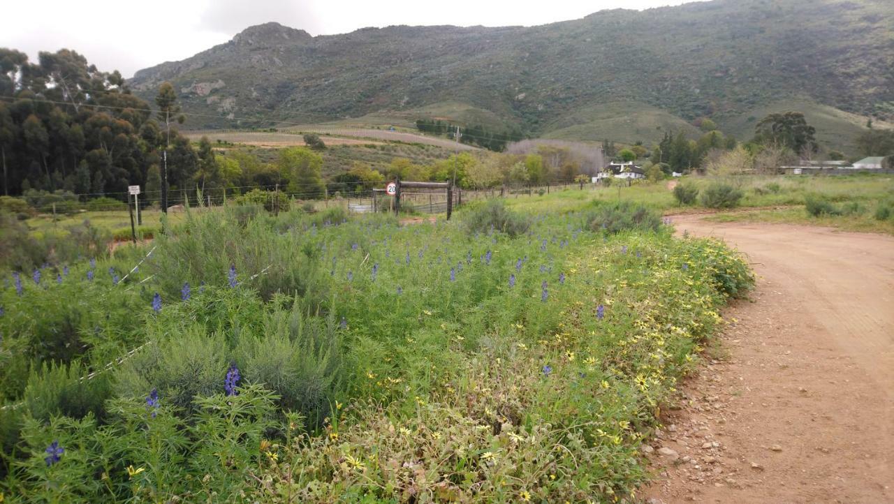 Willa Brambleberry Farm Riebeek-Kasteel Zewnętrze zdjęcie